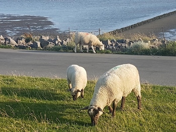 hotel der muehlenhof
