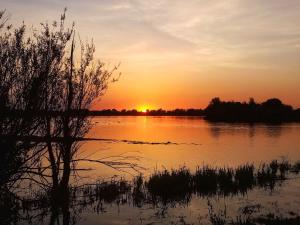 boutique hotel de bungelaer