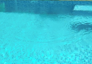 sukhsaroj hotel and resorts