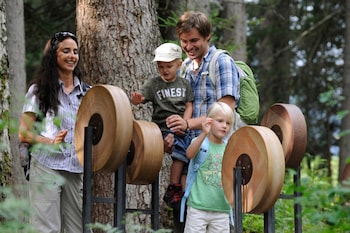 wildhaus alt st johann