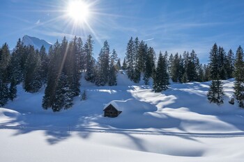 hotel sonne