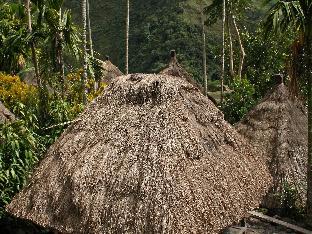 campo filipino dormitelle powered by cocotel