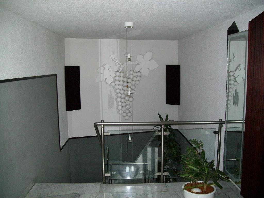 hotel gasthof traube