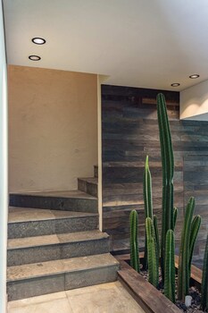 black villas canggu beach by oxo