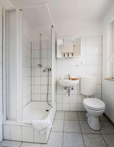 hotel goldener hahn