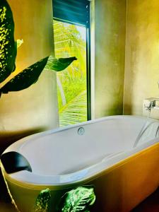 the jini house kabalana