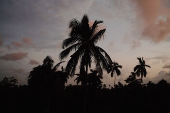 the jini house kabalana