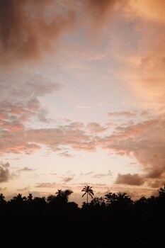 the jini house kabalana