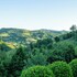 tenuta moncarlino