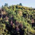 tenuta moncarlino
