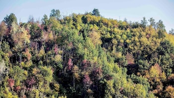 tenuta moncarlino