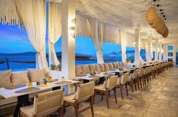 swissotel living bodrum