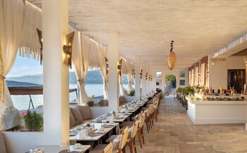 swissotel living bodrum