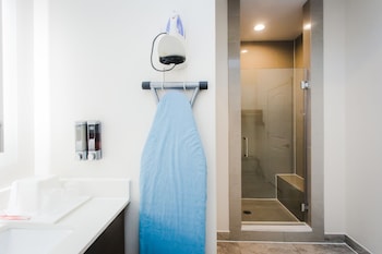 palace inn blue i 45 and college ave