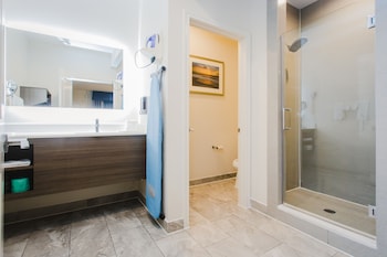 palace inn blue i 45 and college ave