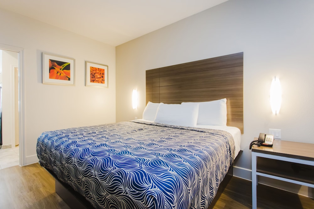 palace inn blue i 45 and college ave