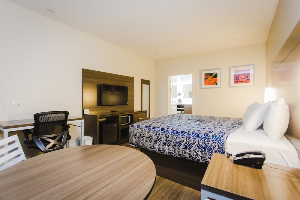 palace inn blue i 45 and college ave