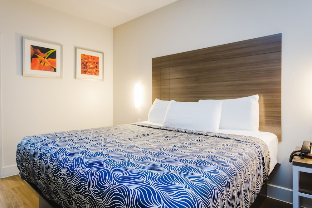 palace inn blue i 45 and college ave