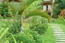 Hof Gorei Beach Resort,,3 star