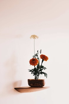 guesthouse by good neighbor