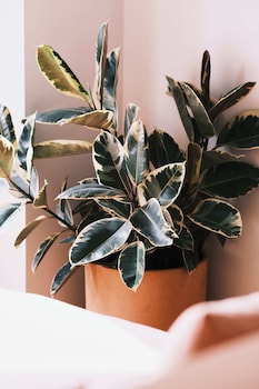 guesthouse by good neighbor