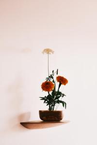 guesthouse by good neighbor