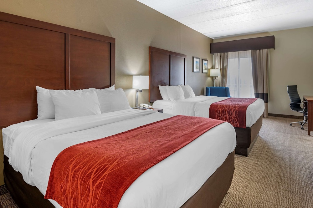 comfort inn lexington i 75