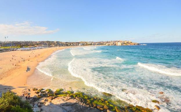 adina apartment hotel coogee sydney