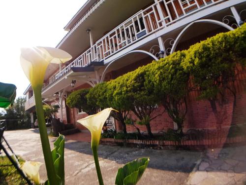 shan shui yuan vege guest house