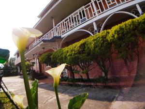 shan shui yuan vege guest house