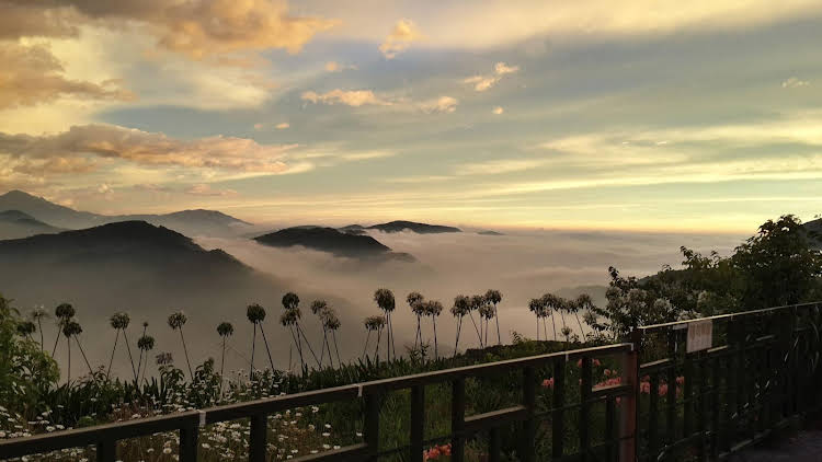 shan shui yuan vege guest house