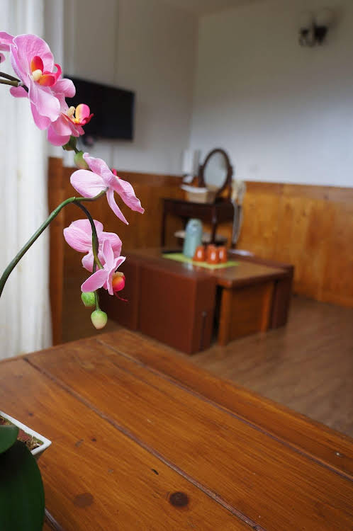 shan shui yuan vege guest house