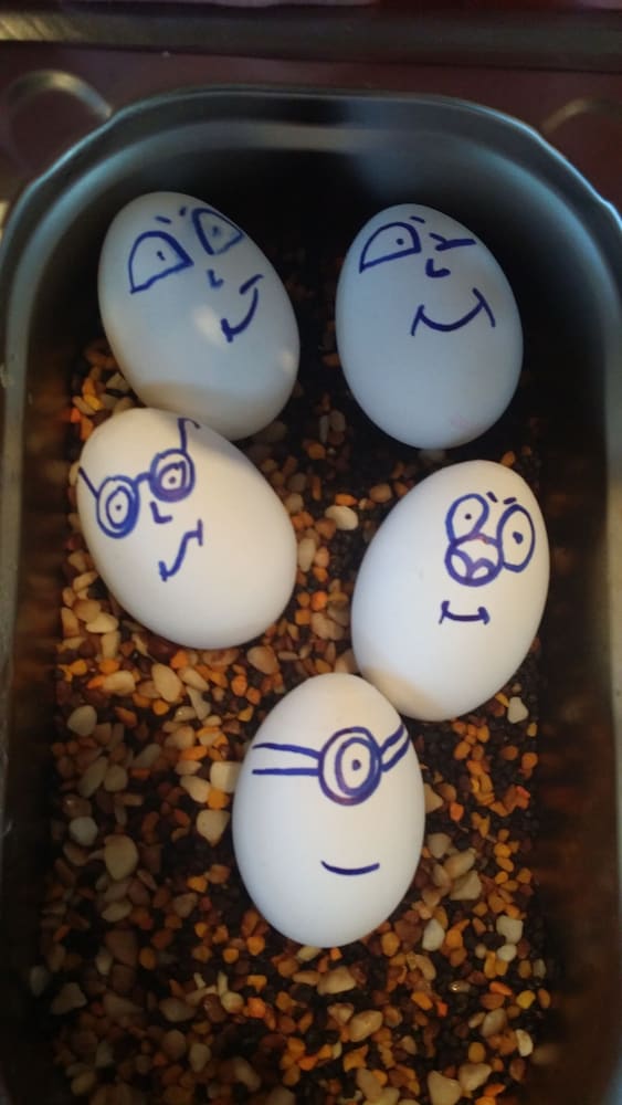 bad homburg v d hoehe