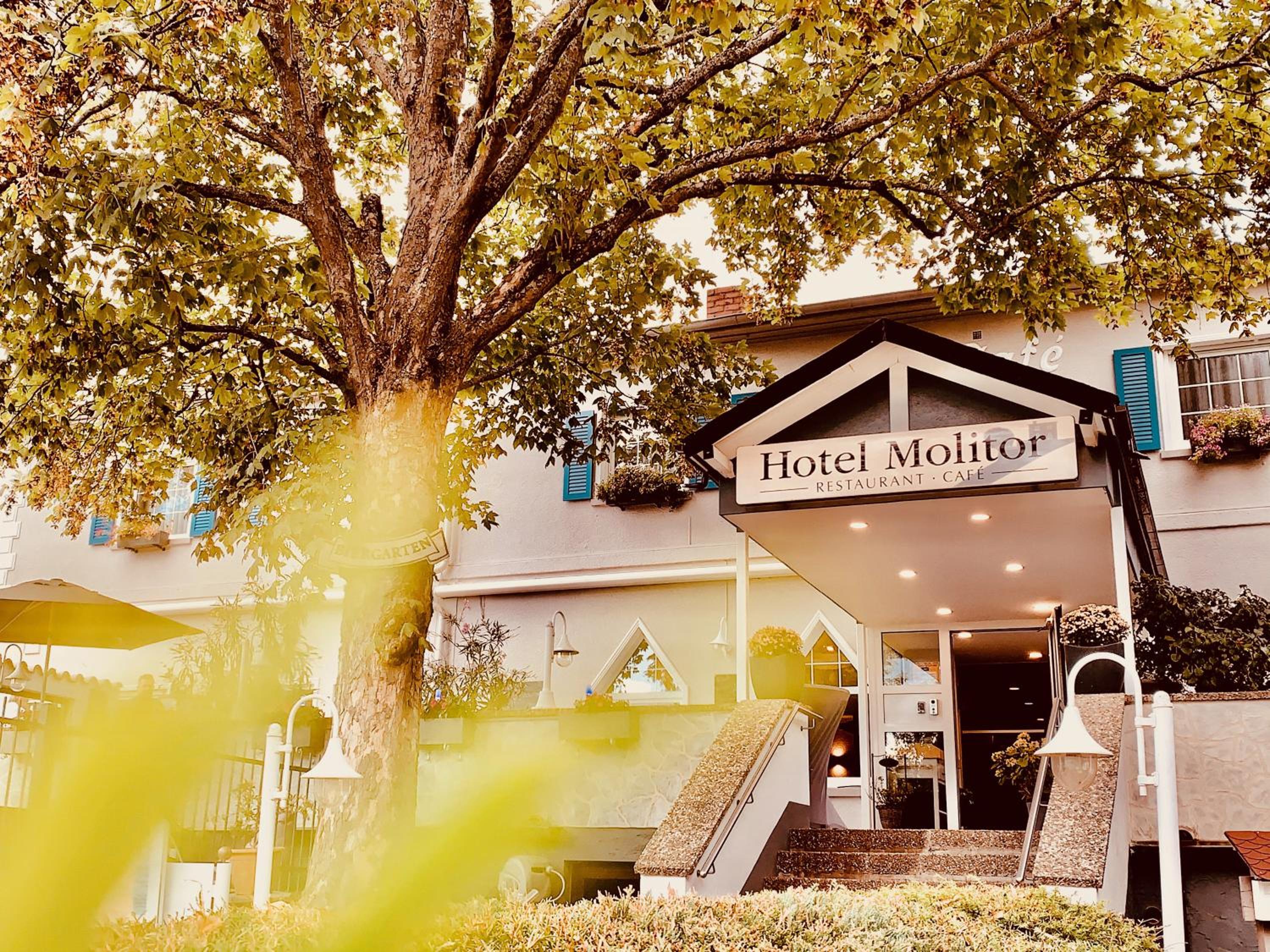 hotel molitor