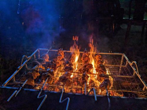 sundarban tulip homestay