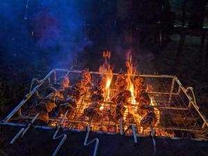 sundarban tulip homestay