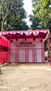sundarban tulip homestay