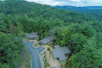 pilot cove forest lodging