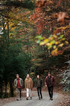 pilot cove forest lodging