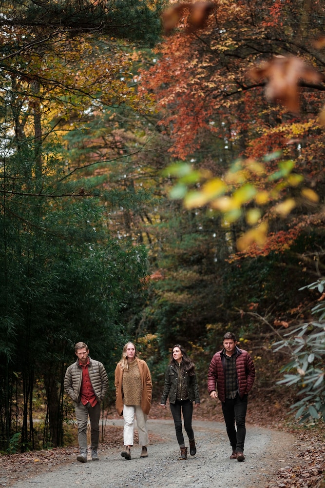 pilot cove forest lodging