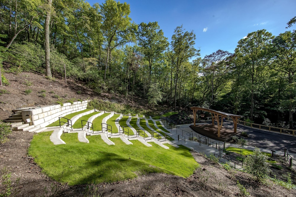 pilot cove forest lodging