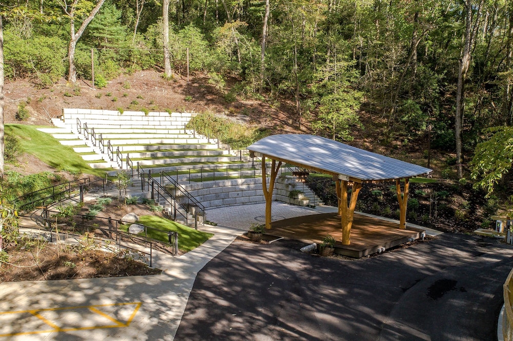 pilot cove forest lodging