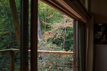 pilot cove forest lodging
