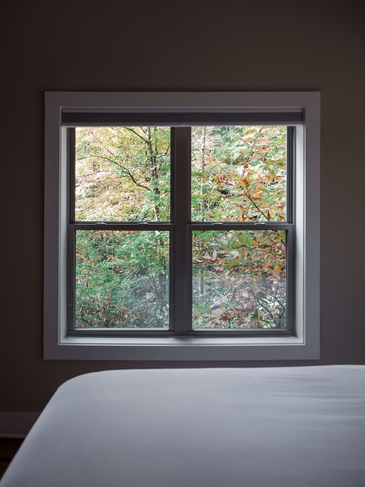 pilot cove forest lodging