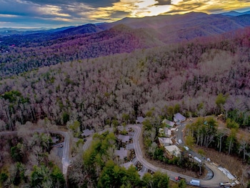 pilot cove forest lodging