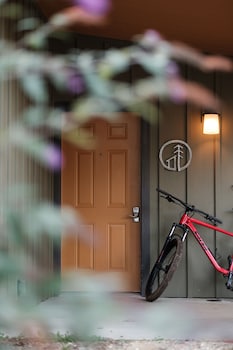 pilot cove forest lodging