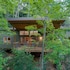 pilot cove forest lodging