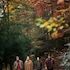 pilot cove forest lodging