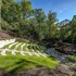 pilot cove forest lodging