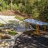pilot cove forest lodging